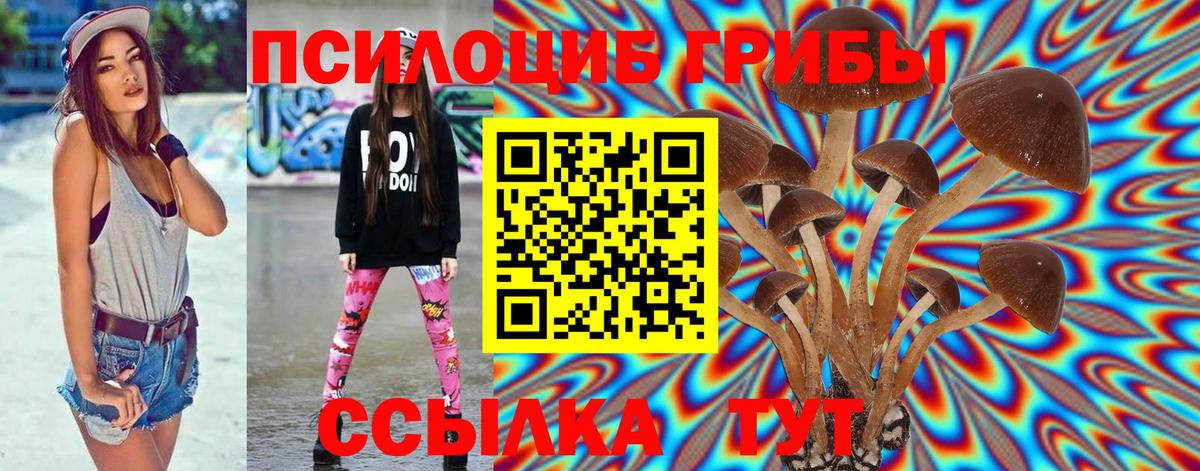 Среднеуральск  Псилоцибиновые грибы Magic Shrooms  Вход с VPN 