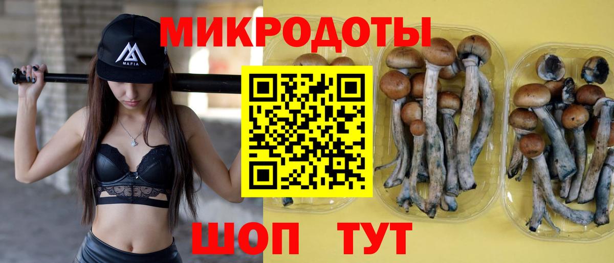 Галлюциногенные грибы ЛСД Среднеуральск